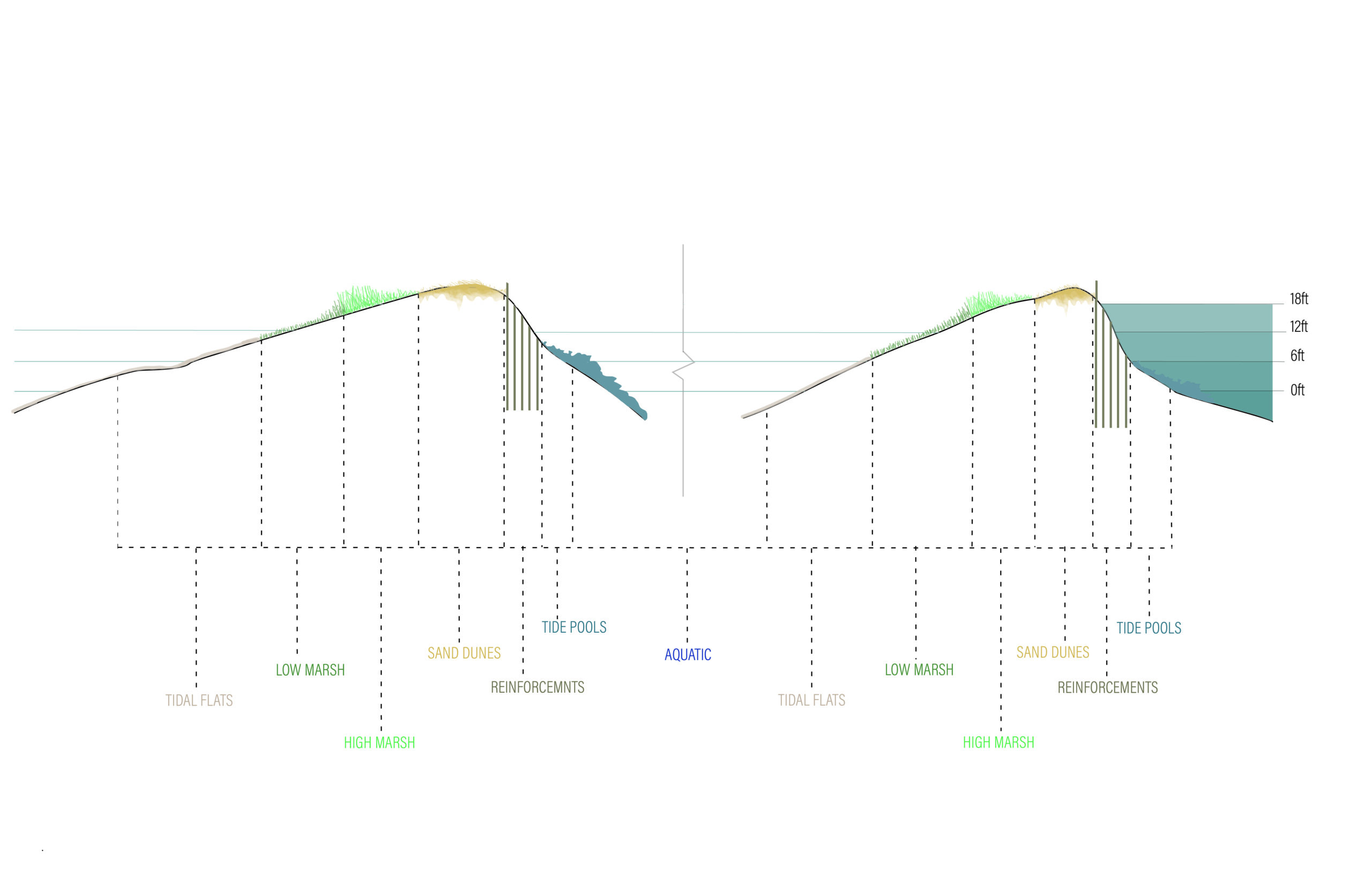 Big-Diagramatic-Section-2